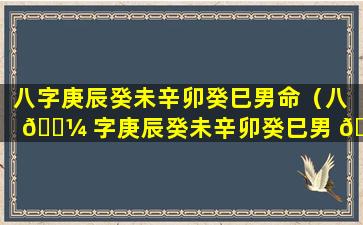 八字庚辰癸未辛卯癸巳男命（八 🐼 字庚辰癸未辛卯癸巳男 🐳 命怎么样）